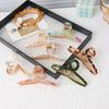 Premium Acetic Acid Hairpin Women'S Spring And Summer Temperament Back Of Head Grab Clip Shark Clip Hairpin Headgear