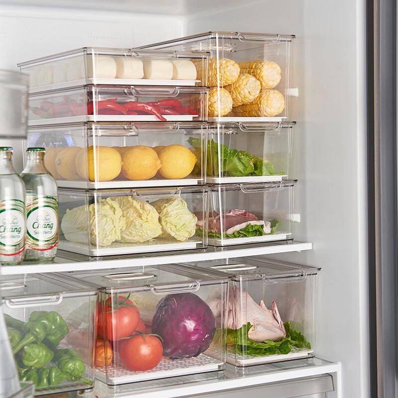 Clear Draining Refrigerator Organizer