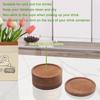 5 Natural Wooden Beverage Coaster Sets (with Coaster Holder) - A Modern Countryside Coffee Table Decoration for Home and Office Use