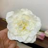Korean 9cm Peony Flower Heads Artificial DIY Flower Hair Clips Silk Hair Accessories Wedding Home Decoration