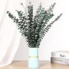 20 PCS Dried Eucalyptus Stems, 17'' Natural Real Live Greenery Eucalyptus Leaves Branches Hanging Shower, Preserved Fresh Eucalyptus Plant for SPA