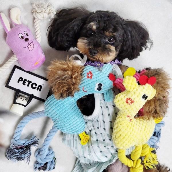 PETCA fournitures pour chien cerf tire-jouet couineur poupée 4 types, 1 ensemble