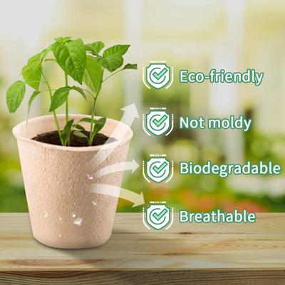 Yousheng 50 Stück Anzuchttöpfe biologisch abbaubare Pflanzenanzuchttöpfe Garten Bio Pflanzgefäß zum Umpflanzen von Sämlingen Samen Keimung