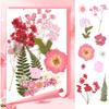 Pressed Flowers Bulk Dried Flowers for Crafts,Real Natural Pressed Flowers Dry Leaves Kit for Crafts Resin Mold Jewelry Candle Soap Making