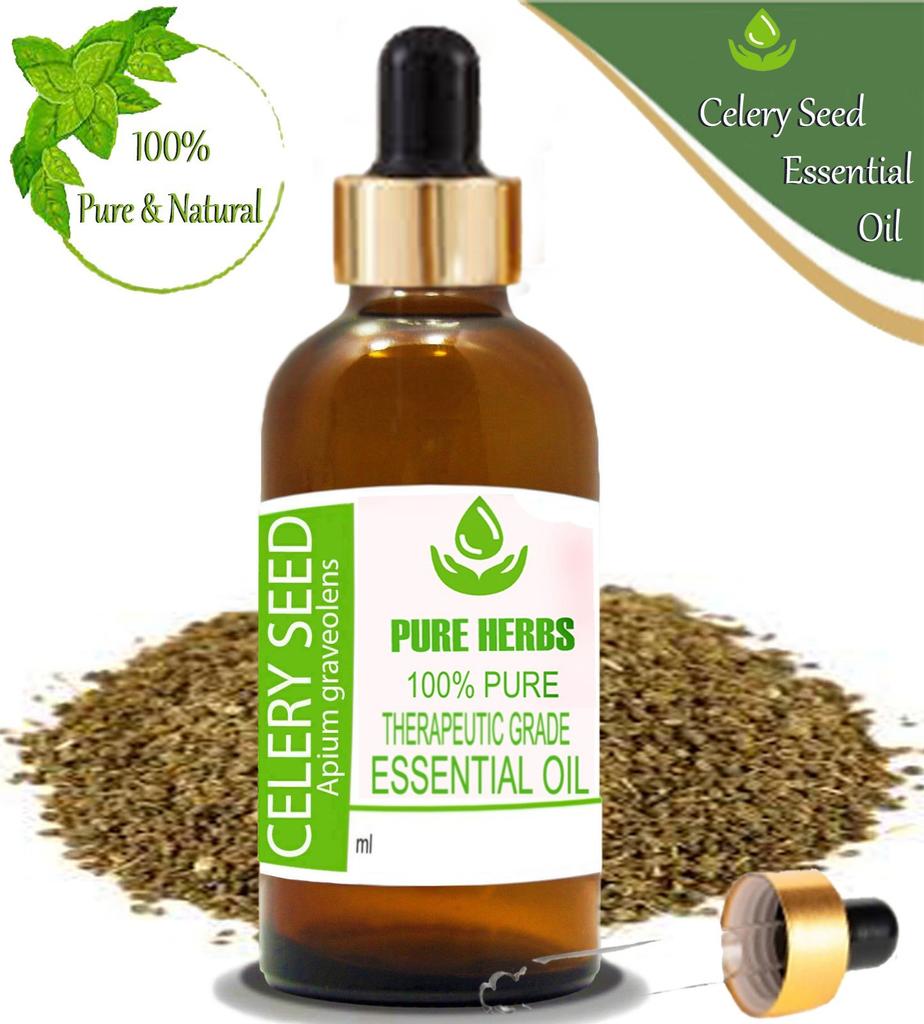 Pure Herbs Celery Seed 100% Pure & Natural Apium Graveolens Essential Oil ZA 277