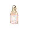 Perfumes – Perfumes