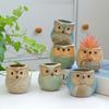 Creative Cartoon Kiln Transformation 6pcs Set Owl Ceramic Succulent Plant Pots with Drainage Holes, Adorable Small Planters with Plant Stands