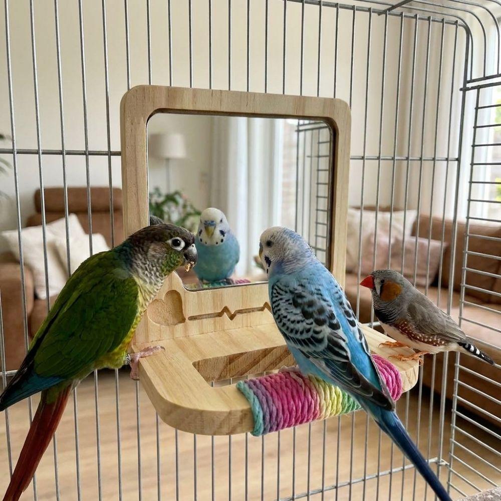 Anti-slip Wood Bird Training Stand Bite Resistant Birds Grinding Perch Holder  Foraging Activity