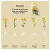 Into Dream Series: Yi Niao Tibetan Floral Large Sticker Pack - 6 Designs
