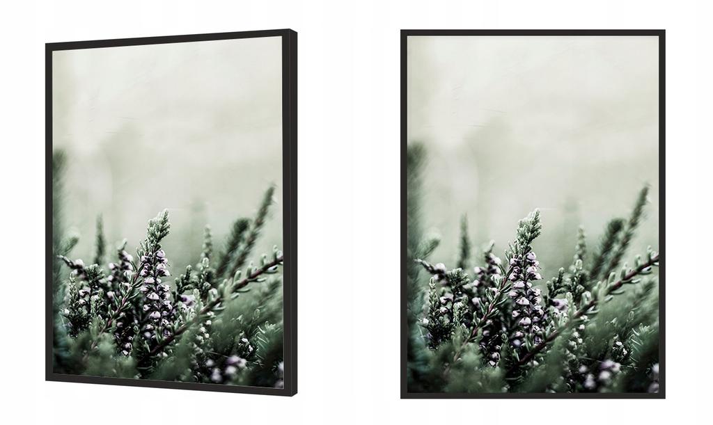 Obraz plakat w ramie 53x73 cm łąka p1773