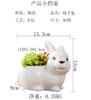 Creative Cartoon Animal Flower Pot Ceramic, Horticultural Desktop Succulent Flower Pot Hand-Painted