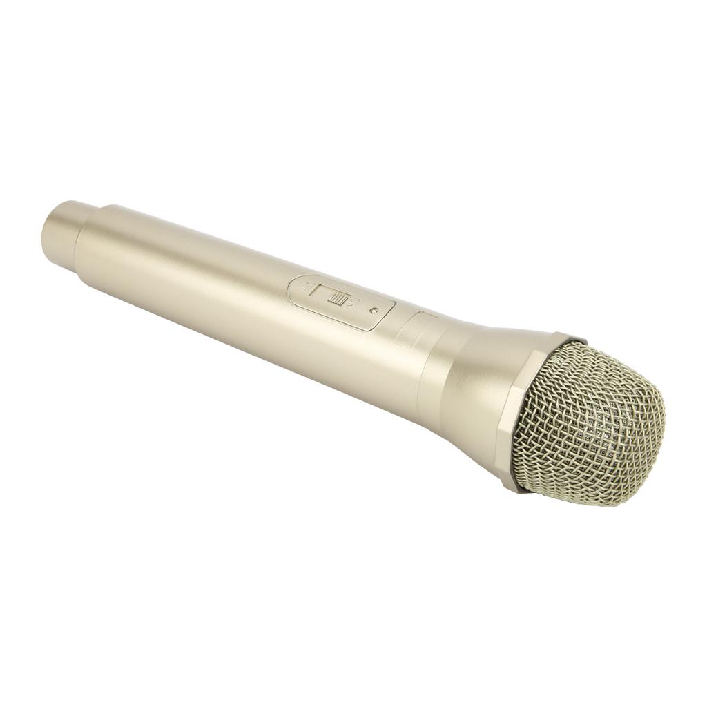   Prop Microphone for Karaoke Dance Shows Practice Microphone Prop for Karaoke