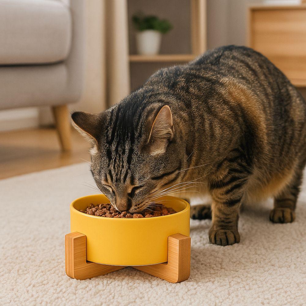 Large Caliber Ceramic Cat Bowl Anti-Overturn Cervical Spine Cat Water Food Bowl No Spill with Wooden Rack High Footed Dog Bowl