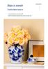 Blue and White Porcelain Antique Vase: Chinese Ornamental Jar for Home or Study Display