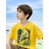 European Sizes Boys' T-shirt Print Design Art, Ideal for Outdoor Activities, Soft Knitted Top, Comfortable And Breathable, Suitable for Summer