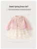 Girls' Spring & Autumn Cardigan Princess Dress Set 2025 - Sweet Two-Piece Outfit for Kids