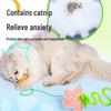 Interactive Butterfly Feather Cat Toy