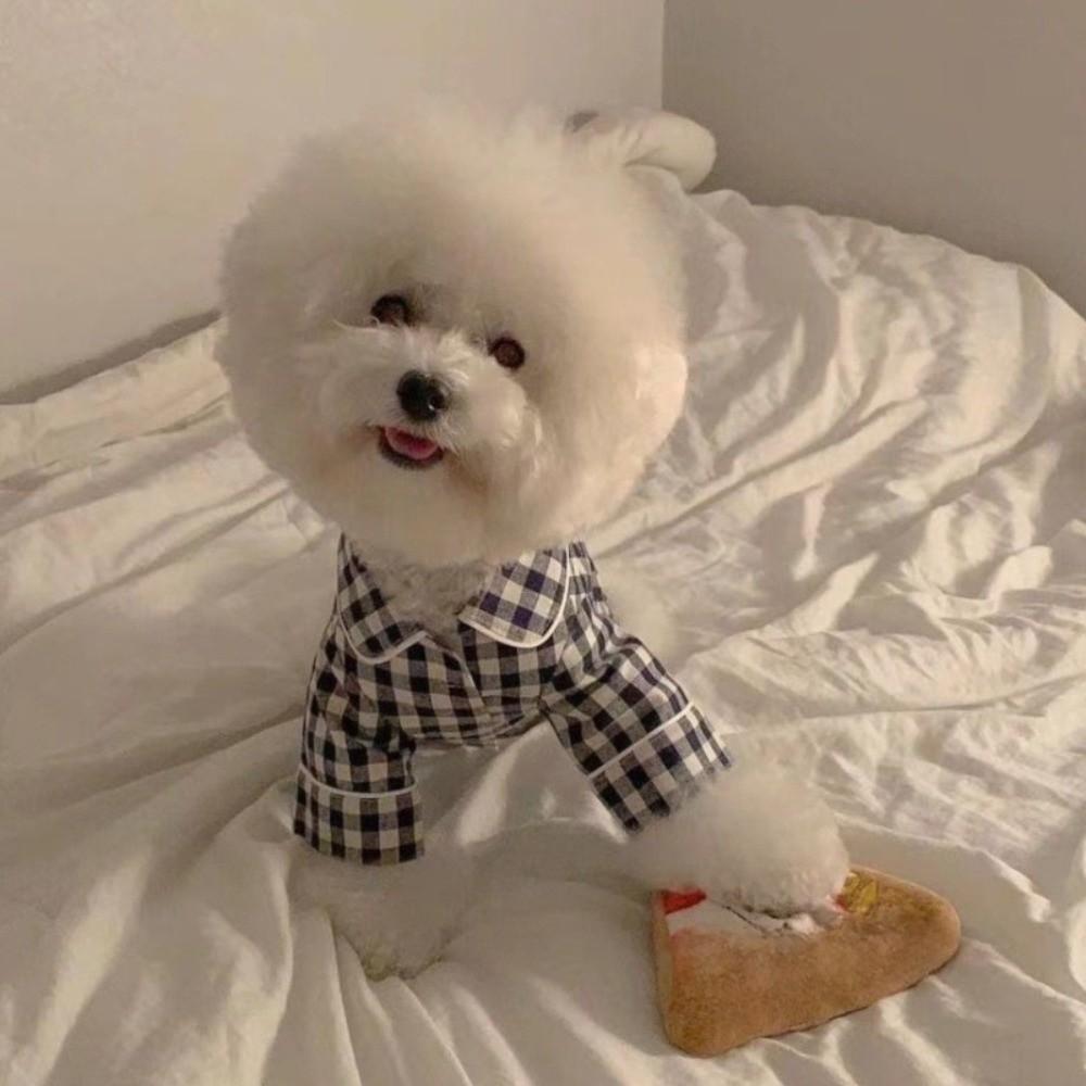 Pet Decoration Comfortable Ins Plaid Shirts Pet Clothing Elegant Cute Dogs Pajamas Fashion Costume Cat Dog Clothes Proposal