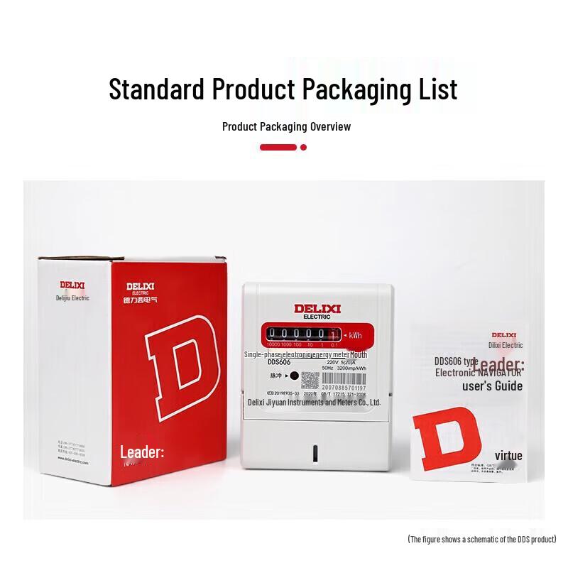 Delixi DDS606 Two-Phase 100A Energy Meter