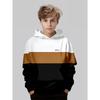 Boys' 3D Printed Hooded Sweatshirt - Contrasting White/beige/brown/black Pullover, Machine Washable Long Sleeved Sweater