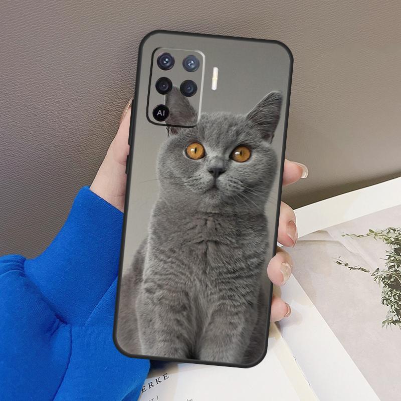 British Shorthair Cat Case For Oppo A78 A38 A18 A98 A58 A60 A80 A40 A96 A76 A16 A94 A74 A54 A15 A17 A57 A77 A5 Pro