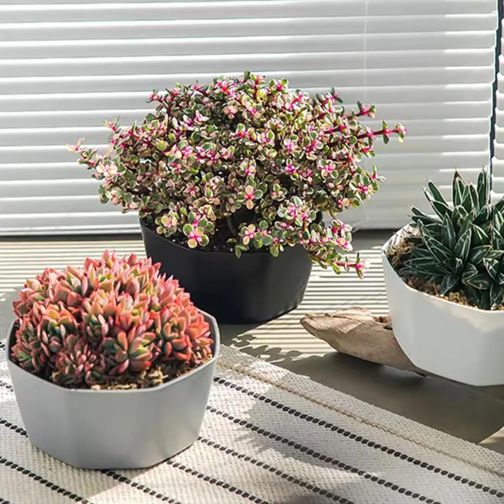 1pc-Simple Flower Pot Set Planter Succulent Plants Large Opening Bottom Tray Indoor Flowerpot Household Durable Holder