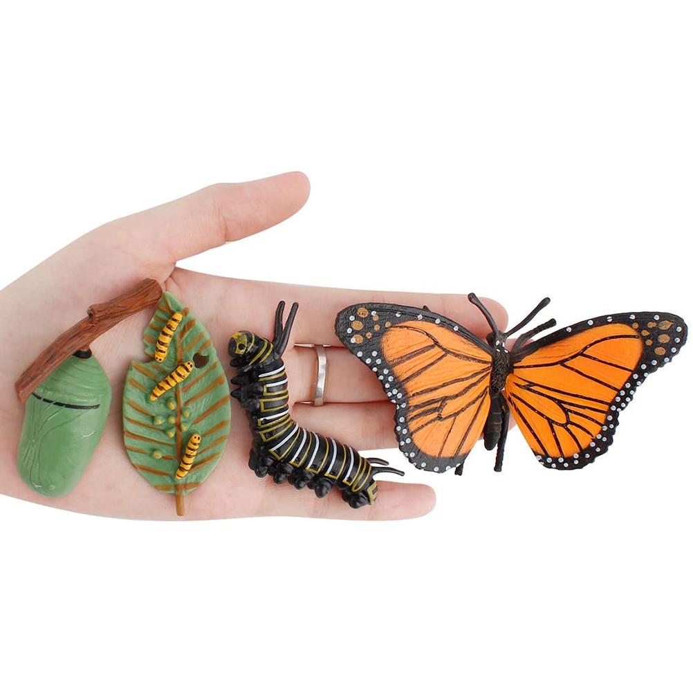 Growth Cycle Model Realistic Life Cycle Animal Models Child Imagination Toys Teaching and Learning