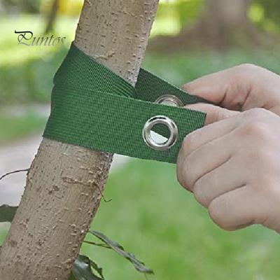 Baumgurte zum Abstecken Baumstützgurte mit Metallschnallen Baumpfahlgurte zum Aufrichten neu gepflanzter Setzlinge Hurrikanschutz