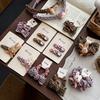 Autumn Retro Sweet Pink Coffee Leopard Pattern Bow Rabbit Hairpin Hair Ring Temperament Baby Tie Ball Head Flower Girl