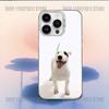 Funny Bull Terrier Dog Phone Case For iPhone 16,15,14,13,12,11,Mini,Pro,E,MAX White Candy Matte Shockproof Cover