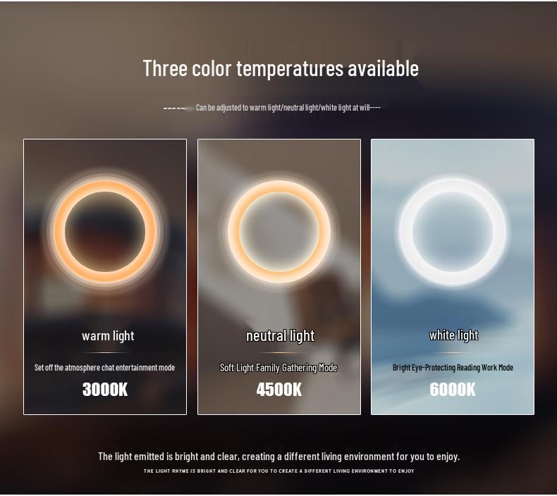 Elegant Shell Wall Lamp for Living Room, Bedroom, Hotel, and Corridor Décor