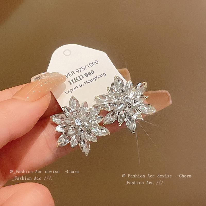 Silver Needle Diamond Flower Geometric Earrings Cold Wind Atmospheric Fashion Stud Earrings Premium Niche Fashion Earrings