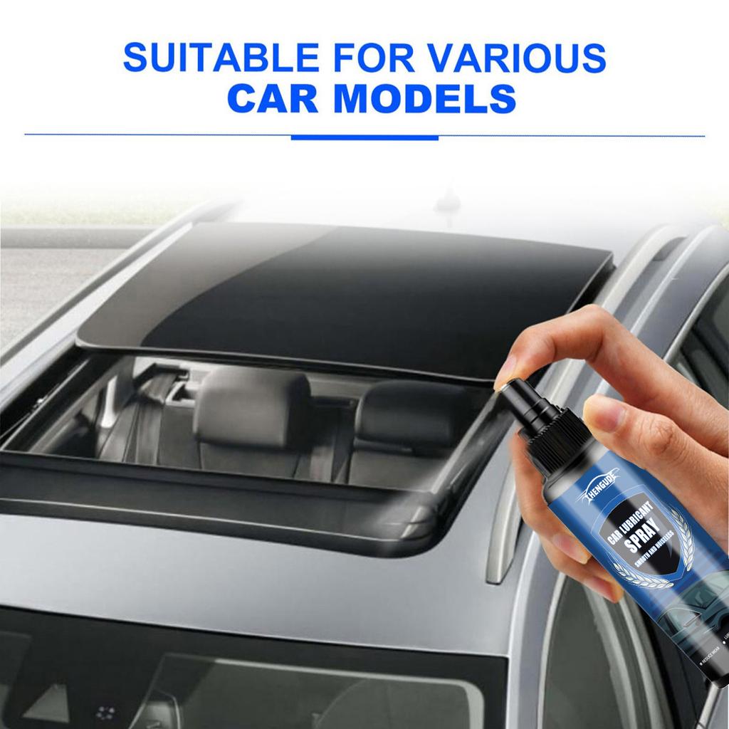 Car Lubricating Spray - Suitable for Car Windows and Sunroofs, Door Tracks, Mild Neutral Lubricating Care Agent, Noise-Free - 100ml, Compr