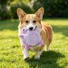Mini Cute Turtle Dog Plush Toy Squeaking Dog Teething Sound Toy Soft And Safe Good For Dental Health For Puppies