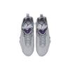 Air Jordan True Flight 'Wolf Grey Purple' 342964-051