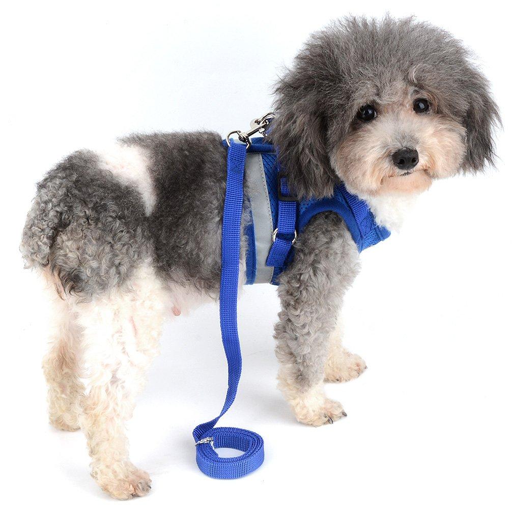 RANPHY Mesh Dog Harness with Reflective Leash Set for Extra and Perfect for and and Available in 4 Colors Small, Small, Puppies, Walks, Training,