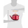 Wahei Freiz Kettle Boiling Water 1.6L IH Compatible Enamel RA-9792