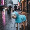 Breathable Adjustable Hooded Raincoat, Waterproof Jacket for Puppy Medium Dogs