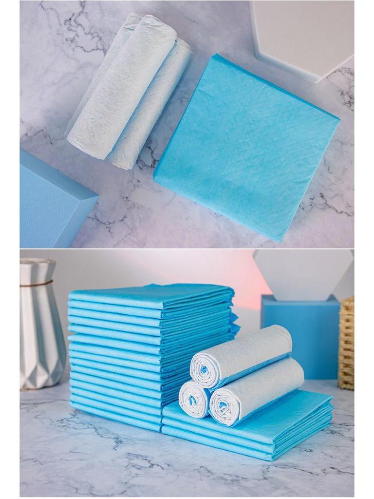 Thickened Deodorizing Dog Pee Pads | Absorbent Disposable Pet Toilet Pads