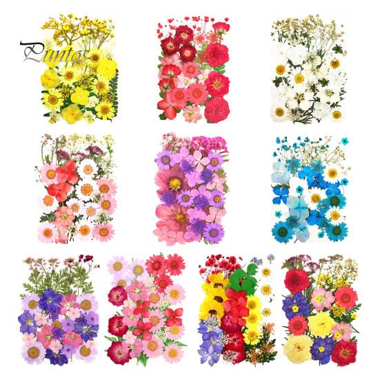 DIY Harz Kunst Blumen-Set 1 Set Getrocknete Gepresste Blumen Bunte Natürliche Bastelbedarf Kerzenherstellung Schmuck Epoxidform Vase Nagelkarte Scrapbooking