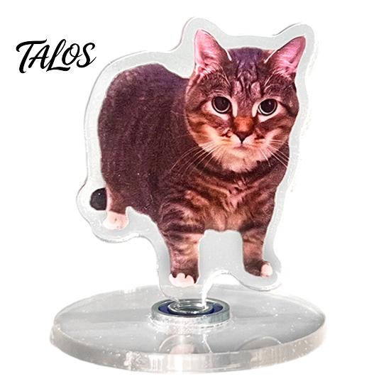Talos 2D Flat Rotating Acrylic Cat Sign for Car Dashboard, Desk Decor, Cute Print Tabletop Centerpiece with Base Home Office, Interior Gift Lovers