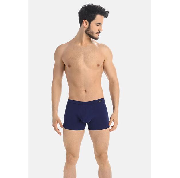 Боксеры Teyli Levi