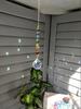 1pc Crystal Suncatcher Mobile Meditation Home Decor Rainbow Maker Prism Suncatcher (Rainbow and Fantasy)