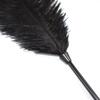 BDSM Feather Teaser Wand with Black Feathers Soft Sensual Tickler for Couples' Foreplay & Roleplay Lightweight Discreet Adult Toy for Intimate Play &