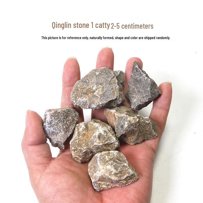 Azure Dragon Aquarium and Bonsai Landscaping Stone Set