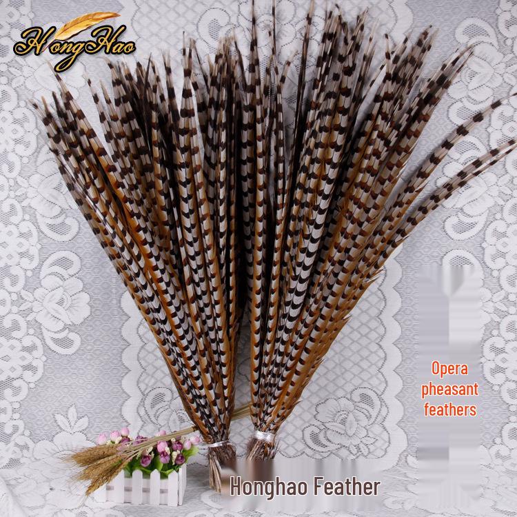 Pheasant Feather Long Plumes for Peking Opera Performance - Sun Wukong Theme