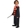 Harry Potter Costume Accessory