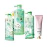 Adolf Shan Hai Jing Tea Bran Hair Care Set