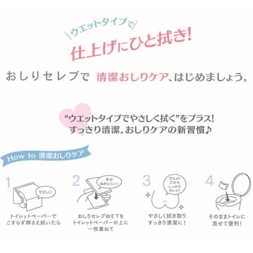 Bulk Purchase: Flushable Oshiri Celeb Wet Unscented Baby Wipes, 60 Wipes (8 Refills)