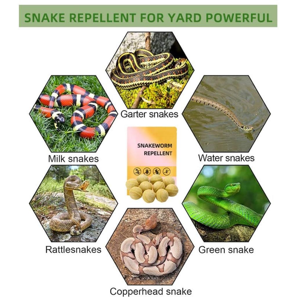 Snake Pills Strong Snake Garden Garden Insect Snake Snake Granule